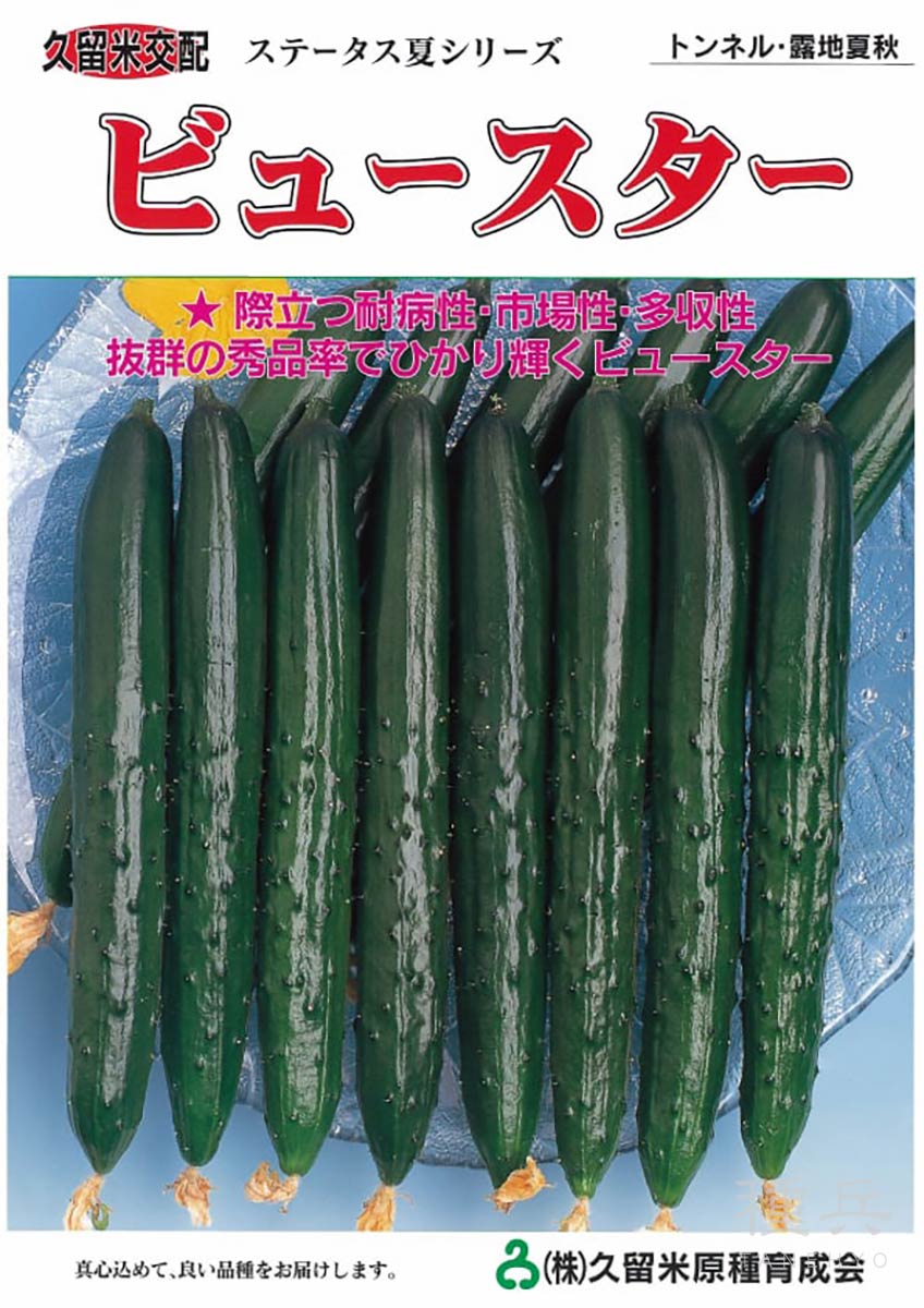 キュウリ 種 『ビュースター』  久留米原種