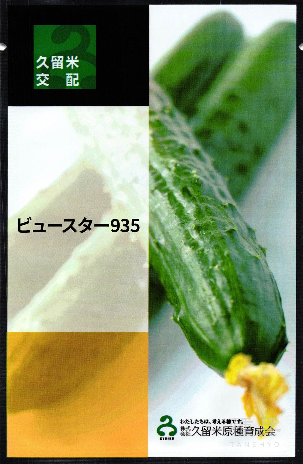 キュウリ 種 『ビュースター９３５』  久留米原種