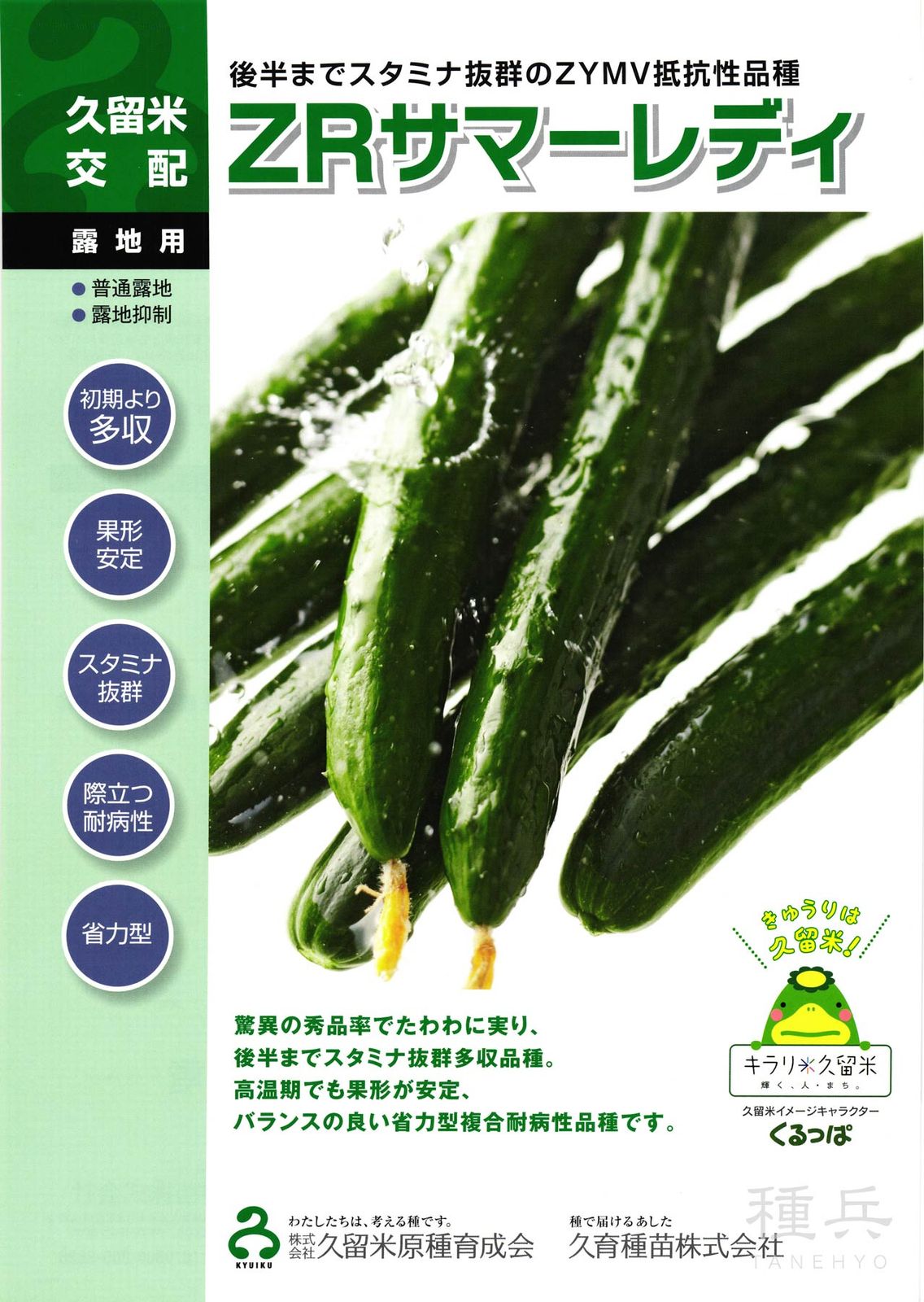 キュウリ 種 『ＺＲサマーレディ』  久留米原種