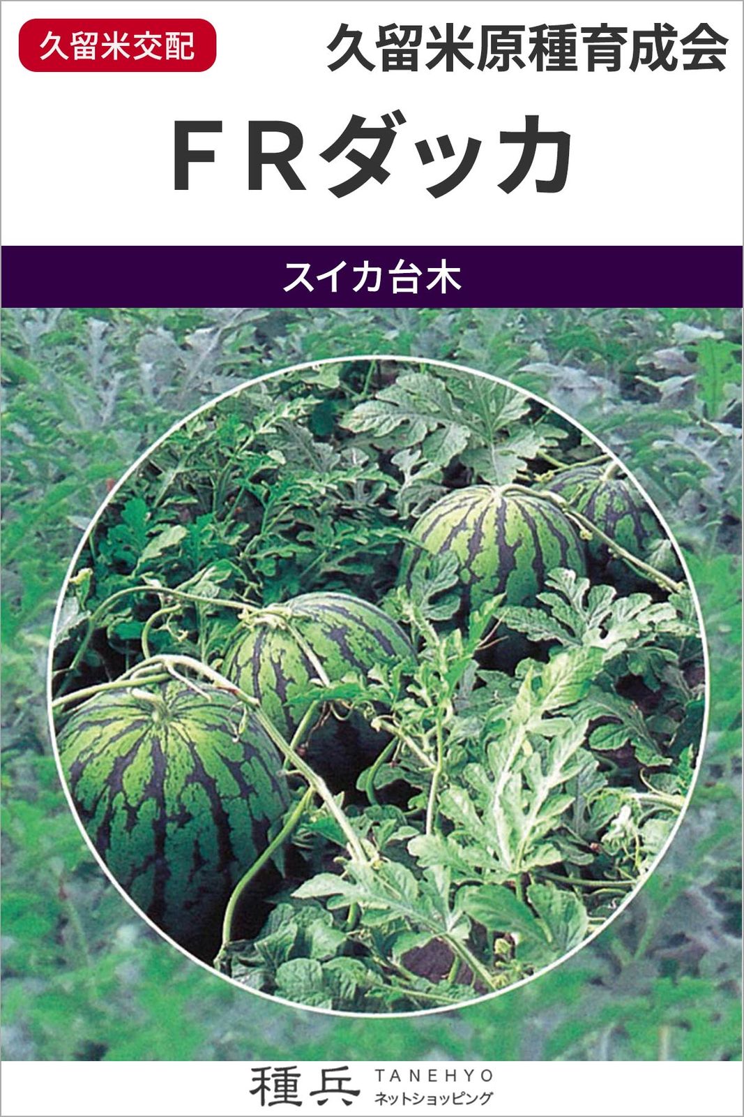 スイカ台木（夕顔） 種 『ＦＲダッカ』  久留米原種