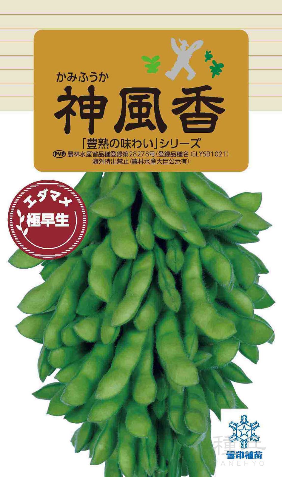 極早生エダマメ 種 『神風香』  雪印種苗