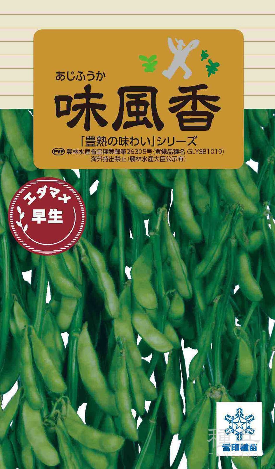 早生エダマメ 種 『味風香』  雪印種苗