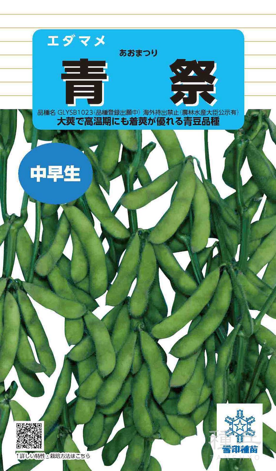 中早生エダマメ 種 『青祭』  雪印種苗