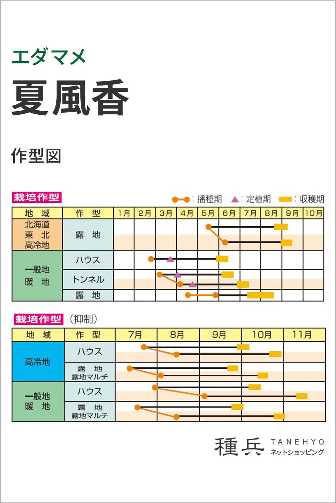 中早生エダマメ 種 『夏風香』 雪印種苗 | たね,果菜の種,エダマメ