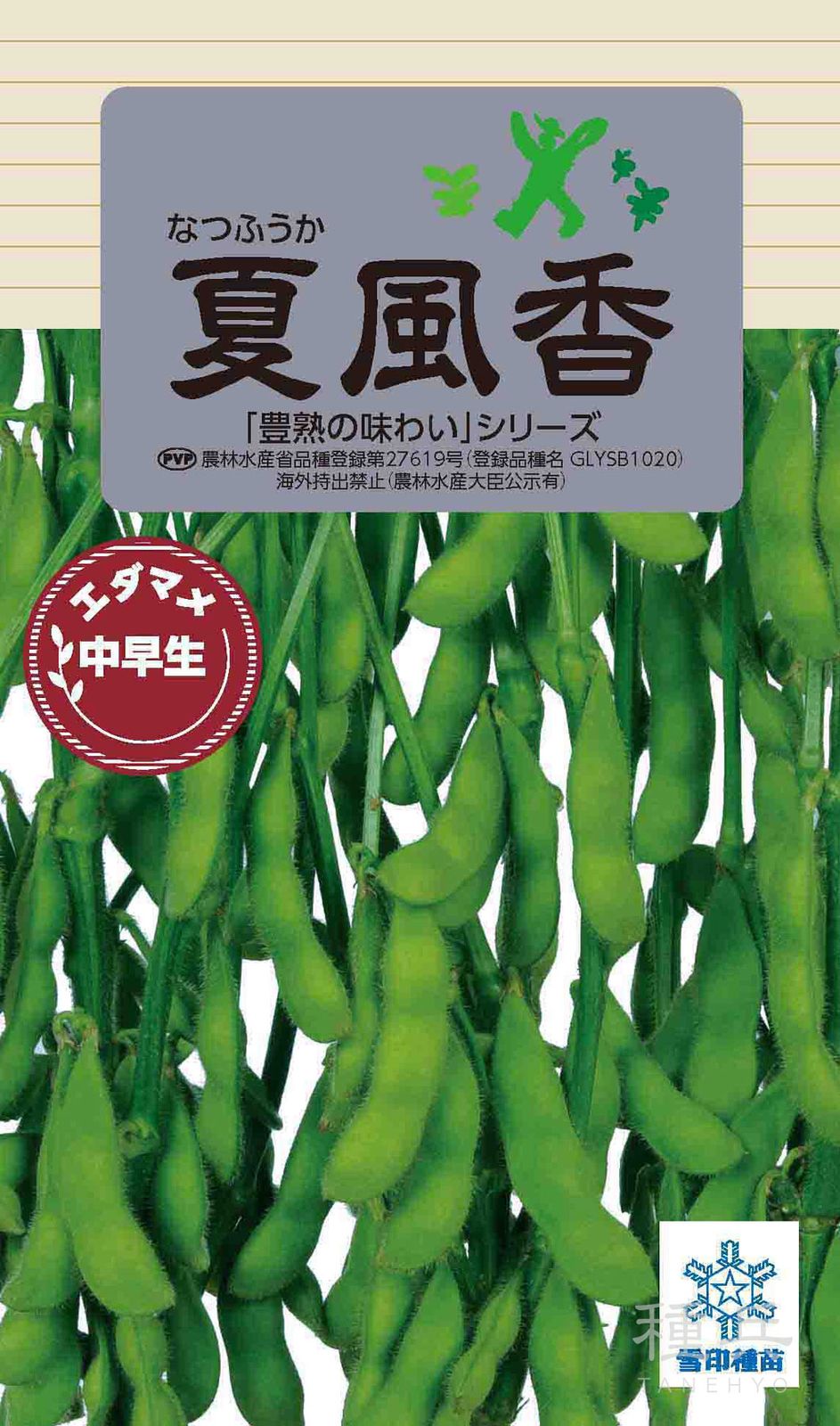 中早生エダマメ 種 『夏風香』  雪印種苗