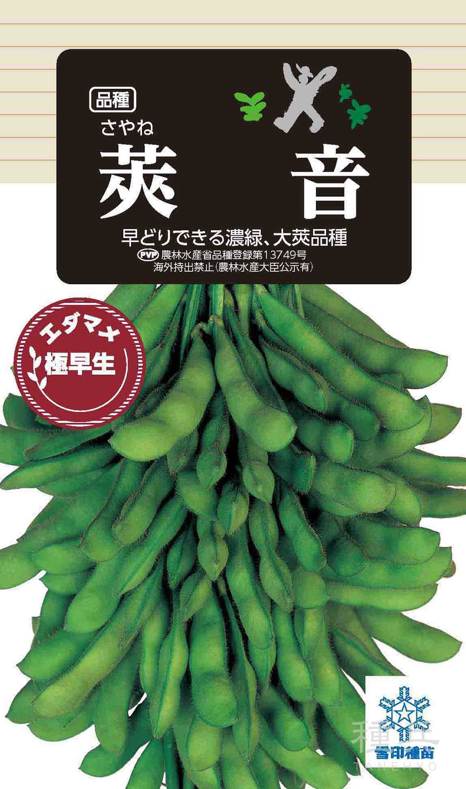 極早生エダマメ 種 『莢音』  雪印種苗