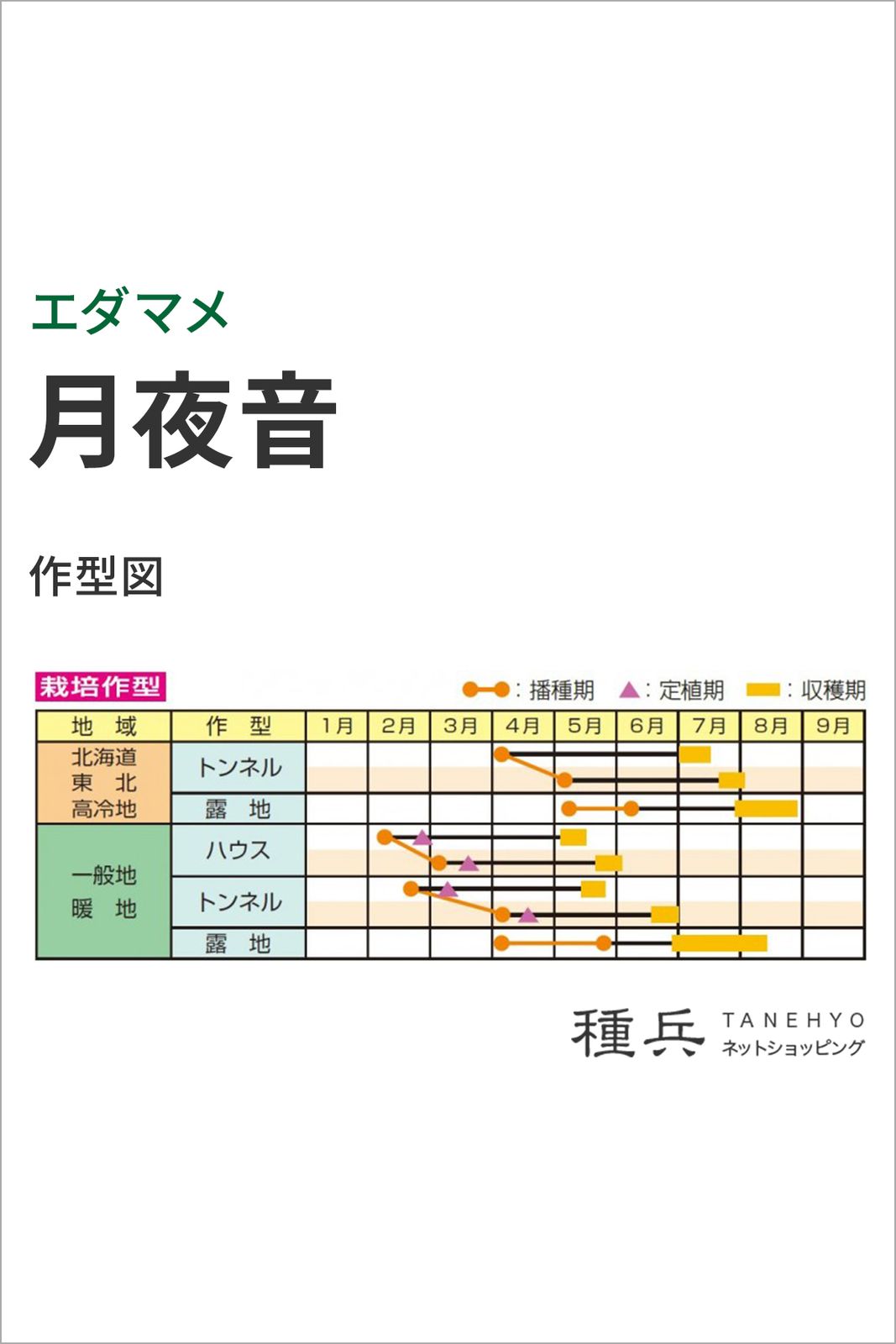 極早生エダマメ 種 『月夜音』 雪印種苗 | たね,果菜の種,エダマメ