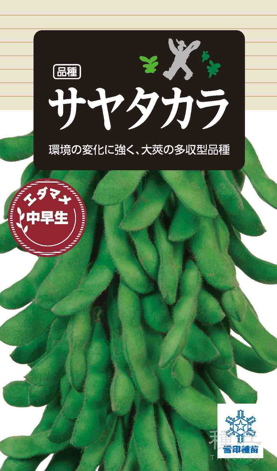 中早生エダマメ 種 『サヤタカラ』  雪印種苗