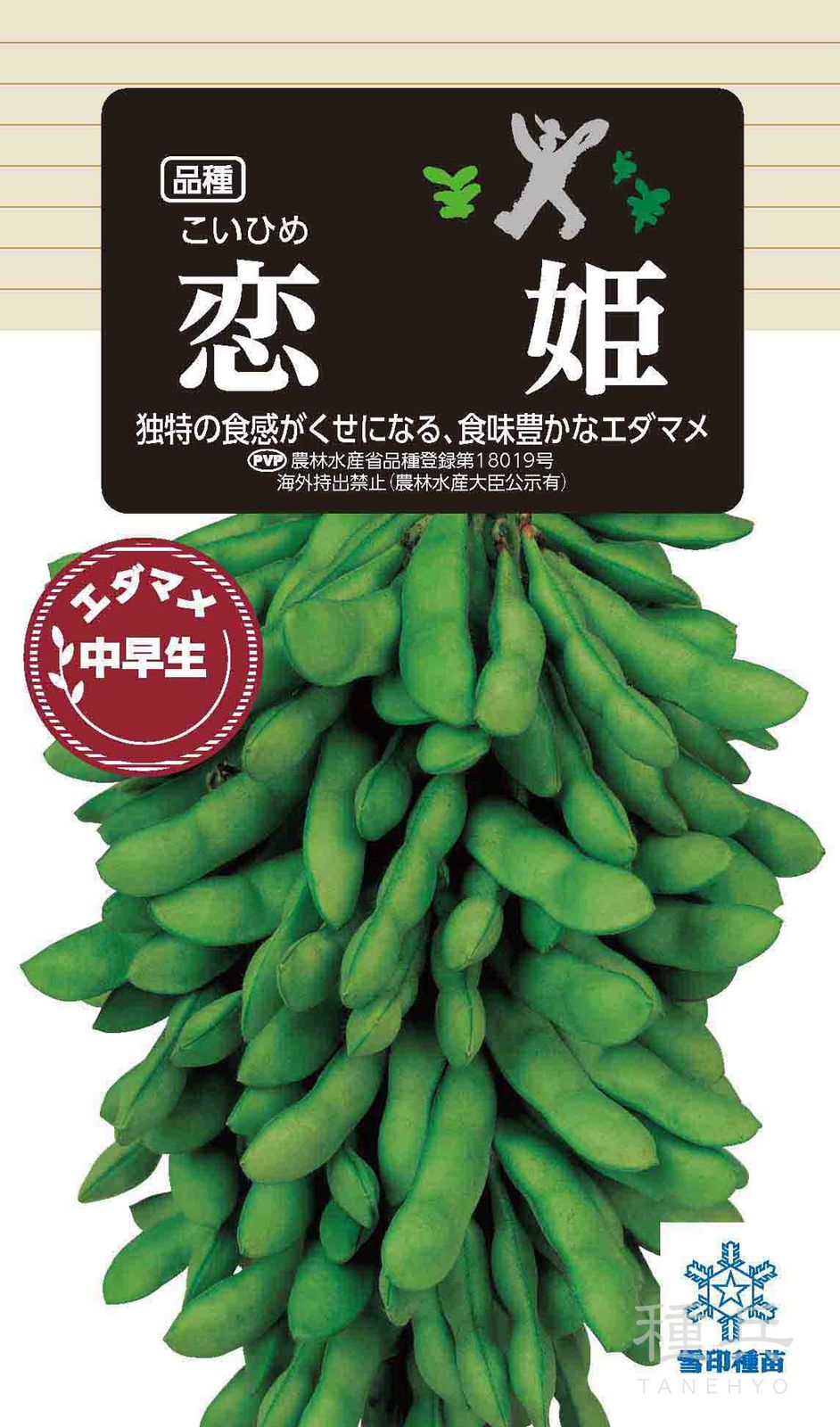 中早生エダマメ 種 『恋姫』  雪印種苗