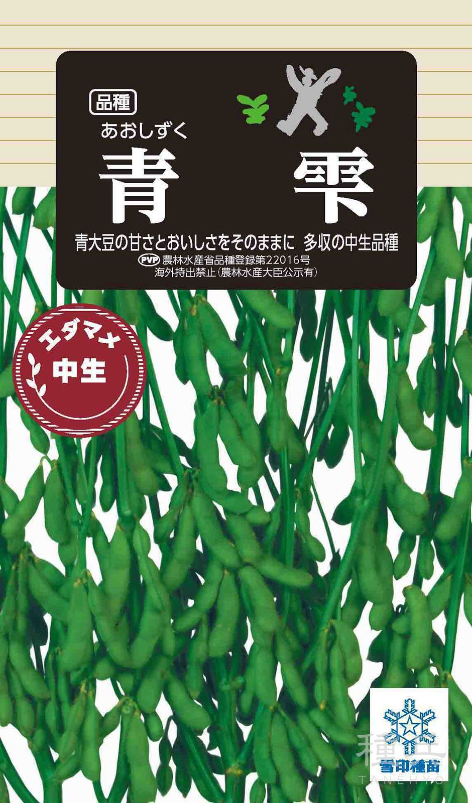 中生エダマメ 種 『青雫』  雪印種苗