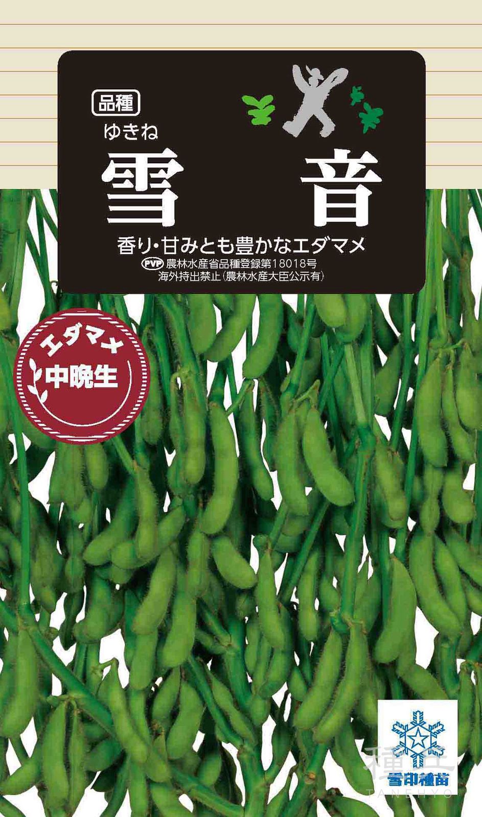 中晩生エダマメ 種 『雪音』  雪印種苗