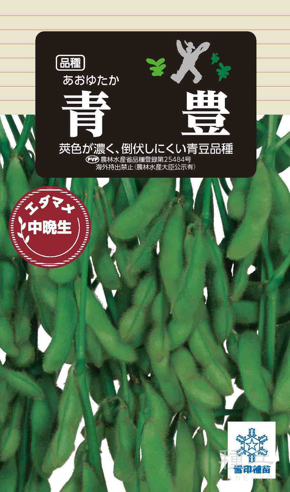 中晩生エダマメ 種 『青豊』  雪印種苗