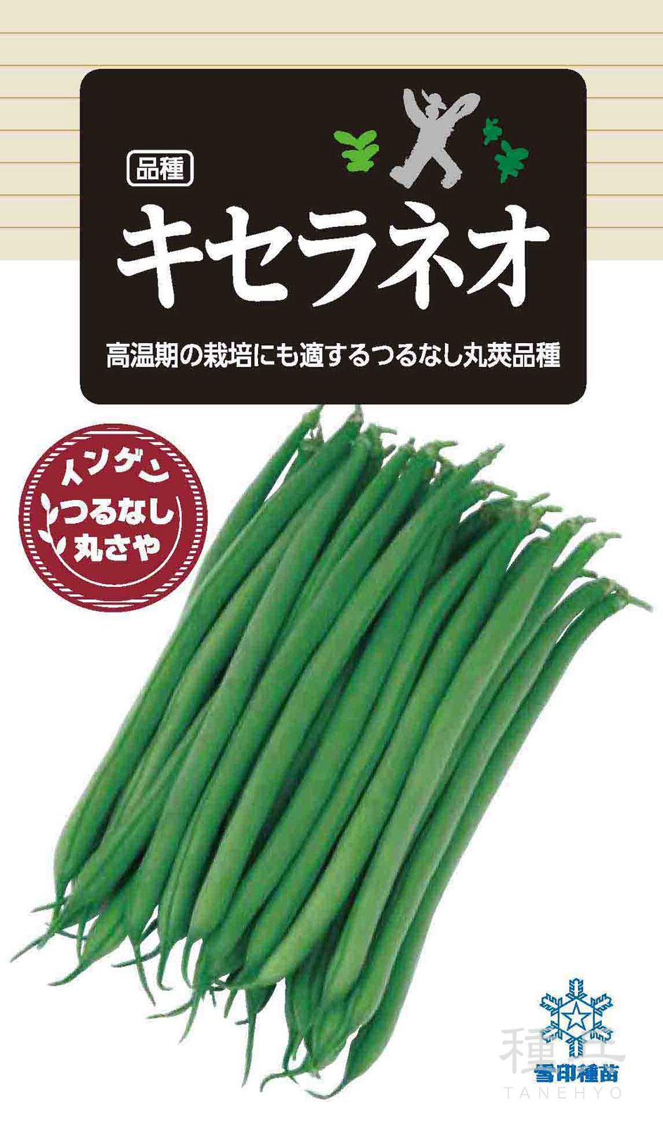 つるなしインゲン 種 『キセラネオ』  雪印種苗