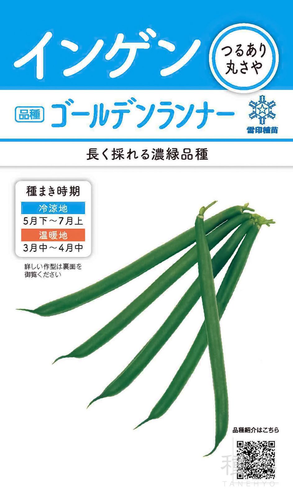 つるありインゲン 種 『ゴールデンランナー』  雪印種苗