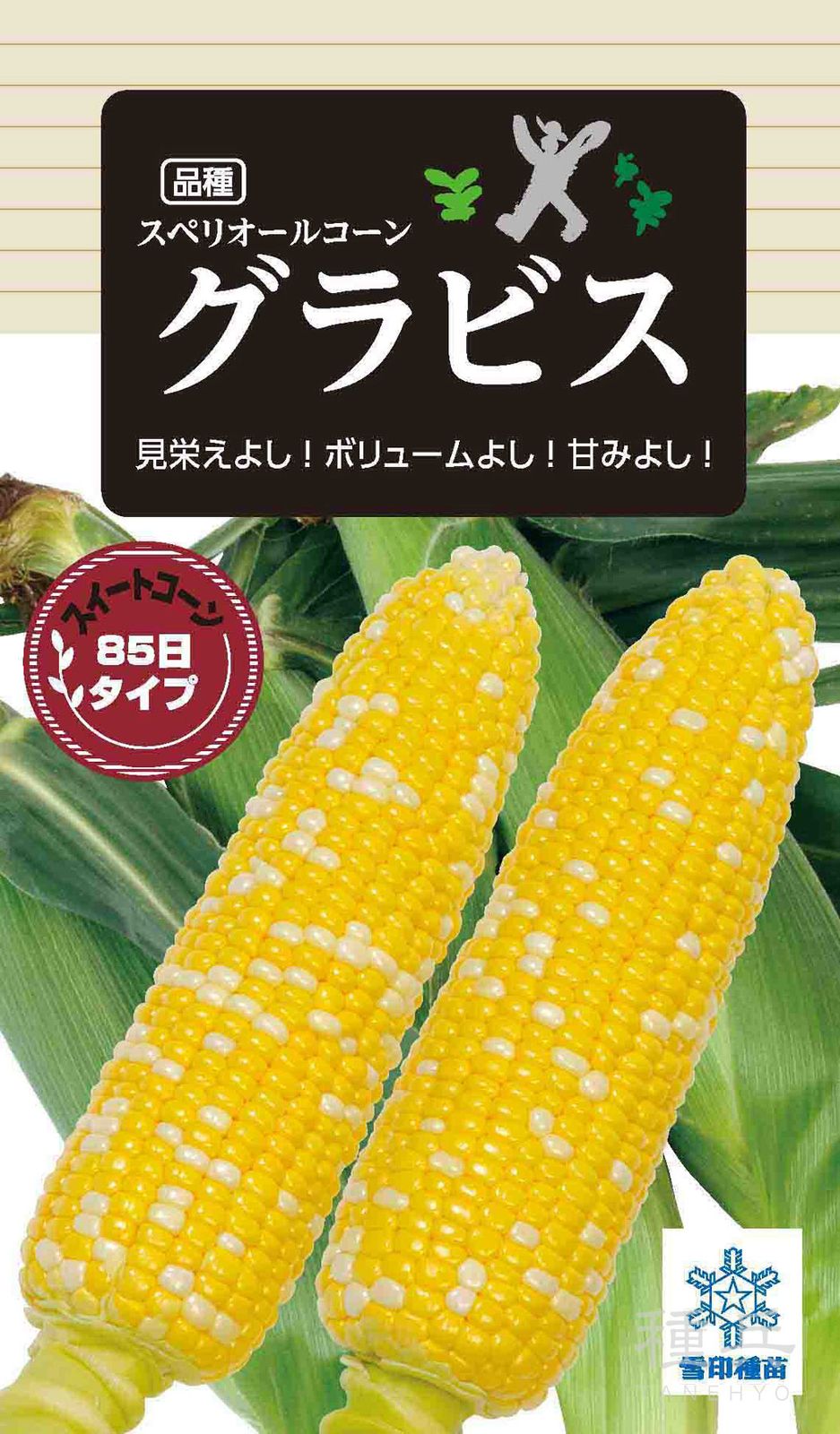 バイカラースイートコーン 種 『スペリオールコーン グラビス』  雪印種苗