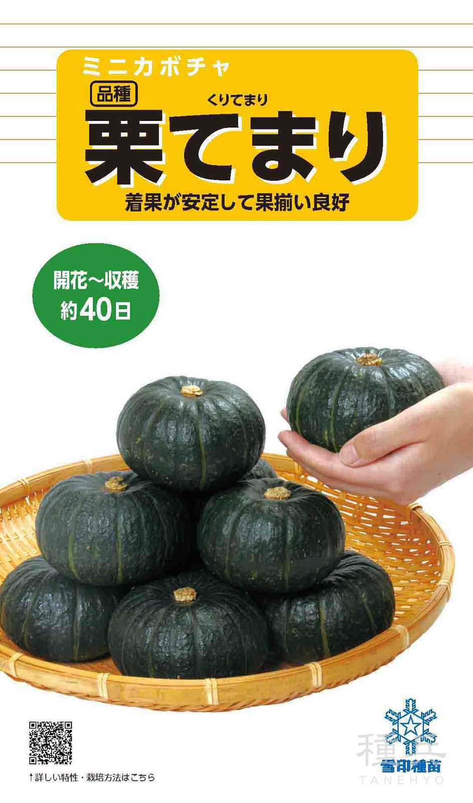 たね,果菜の種,カボチャ,栗カボチャ | 種兵ネットショッピング