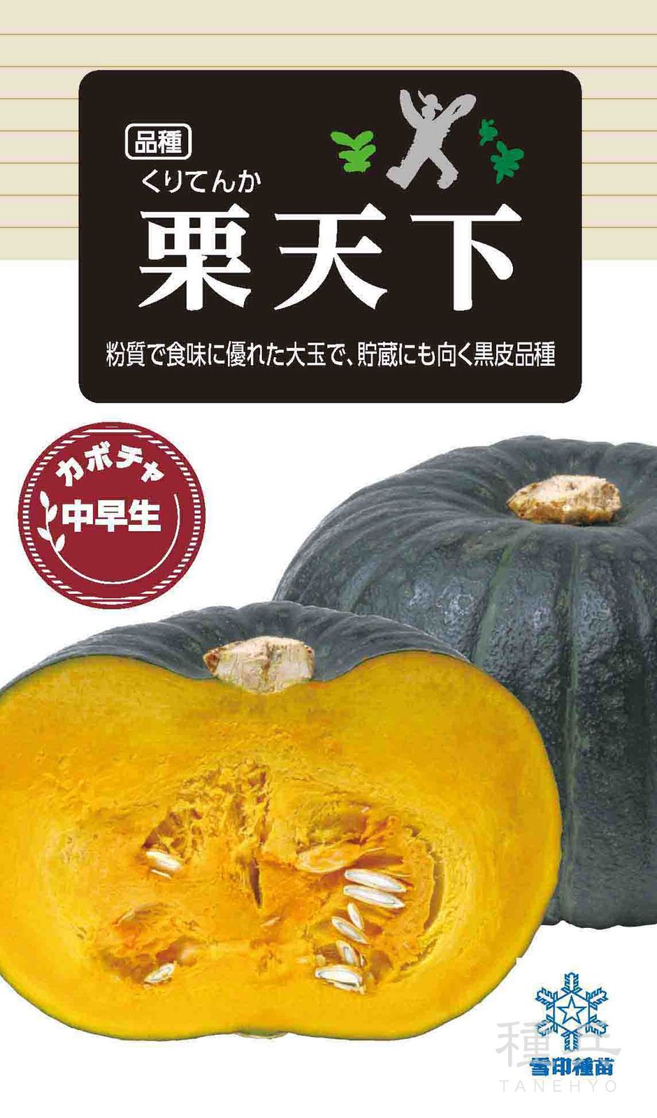 栗カボチャ 種 『栗天下』  雪印種苗