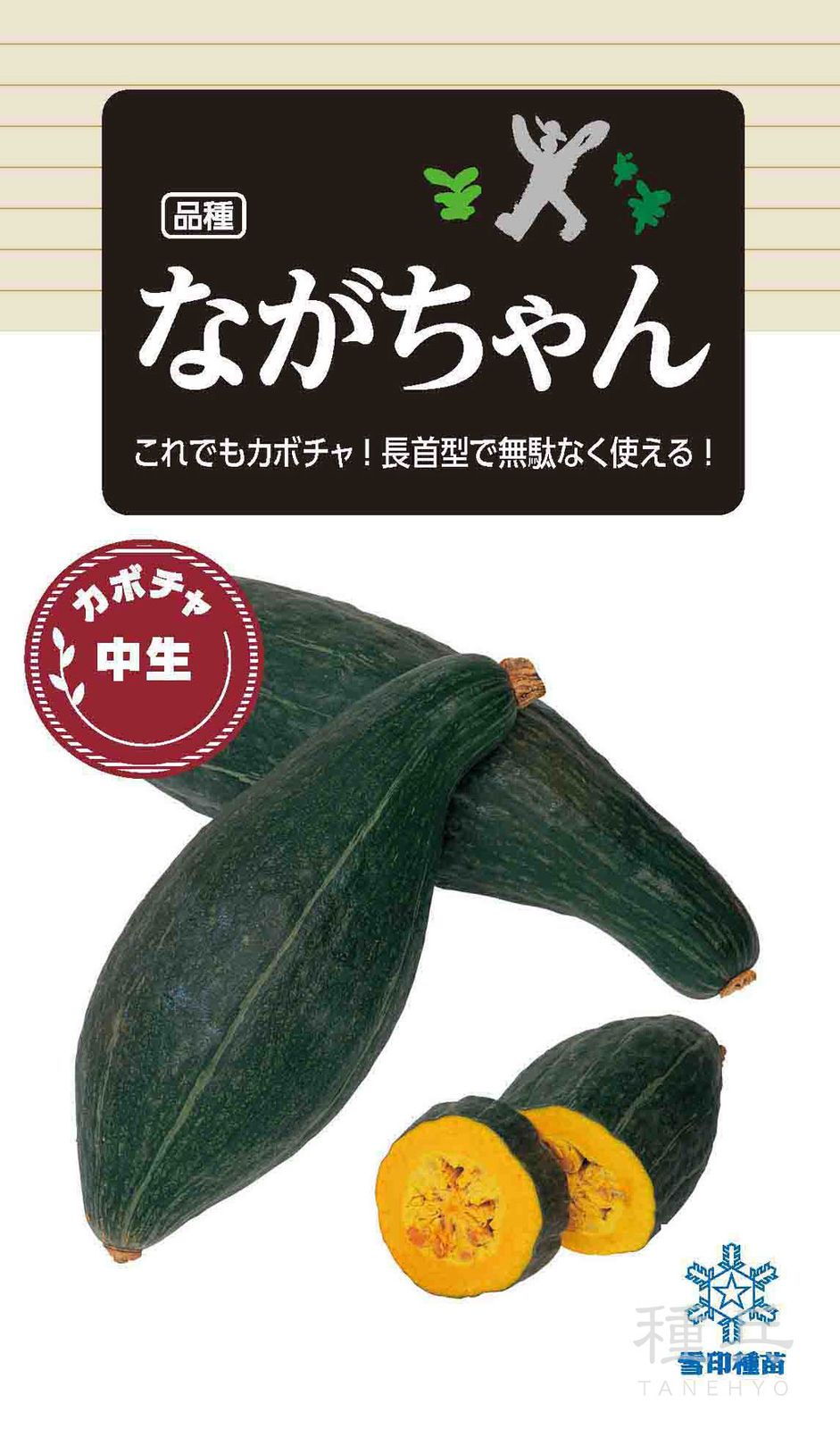 長首型カボチャ 種 『ながちゃん』  雪印種苗