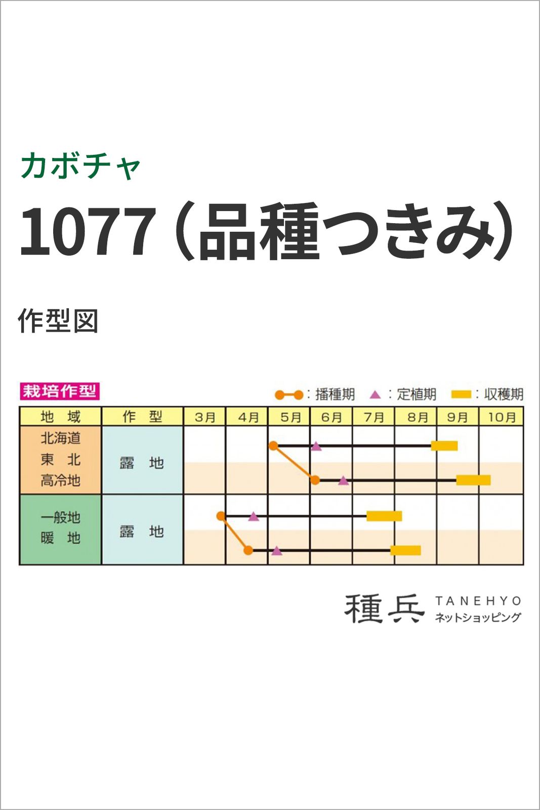 灰白皮カボチャ 種 『1077（品種つきみ）』 雪印種苗 | たね,果菜の種