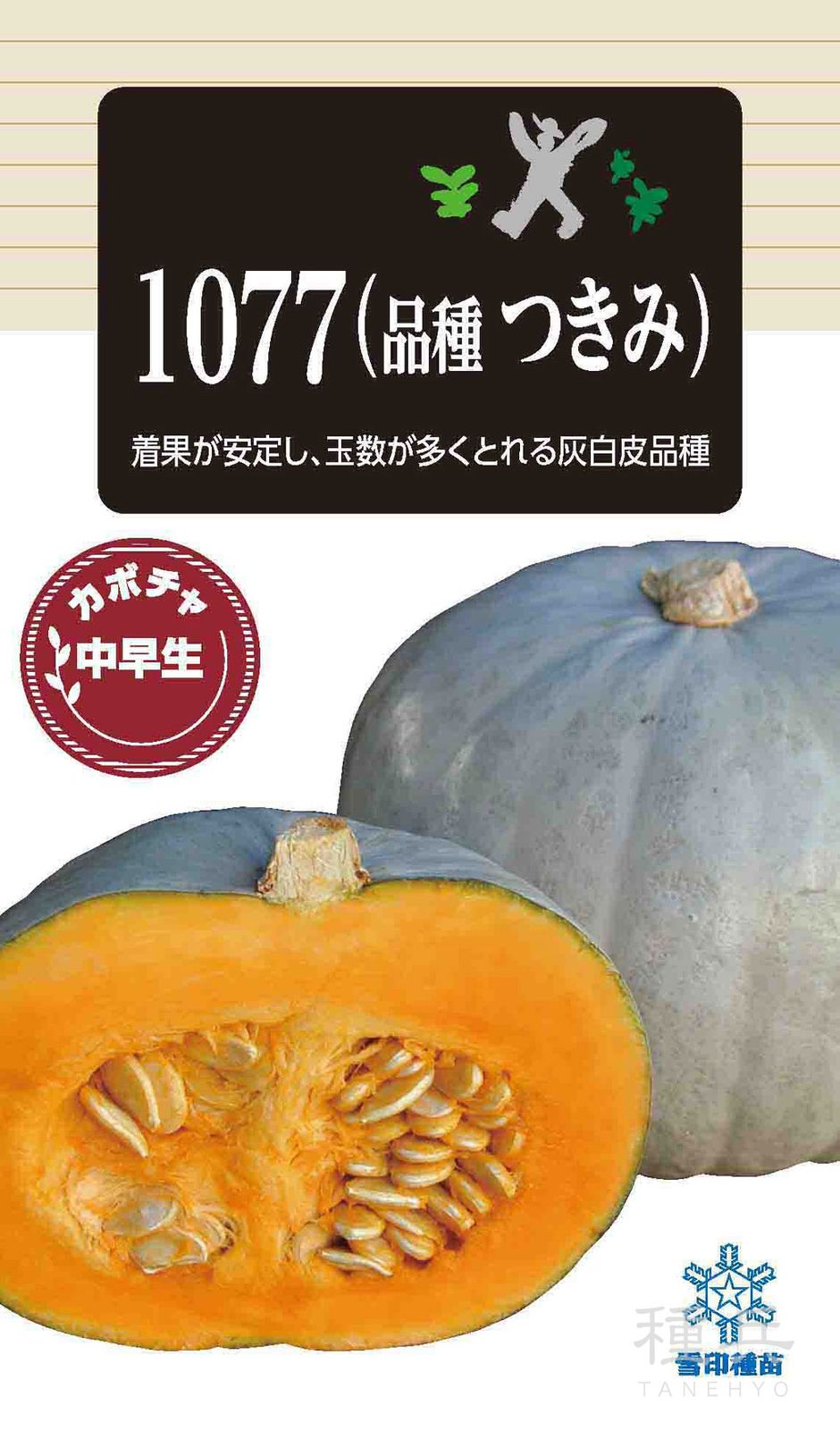灰白皮カボチャ 種 『1077（品種つきみ）』  雪印種苗
