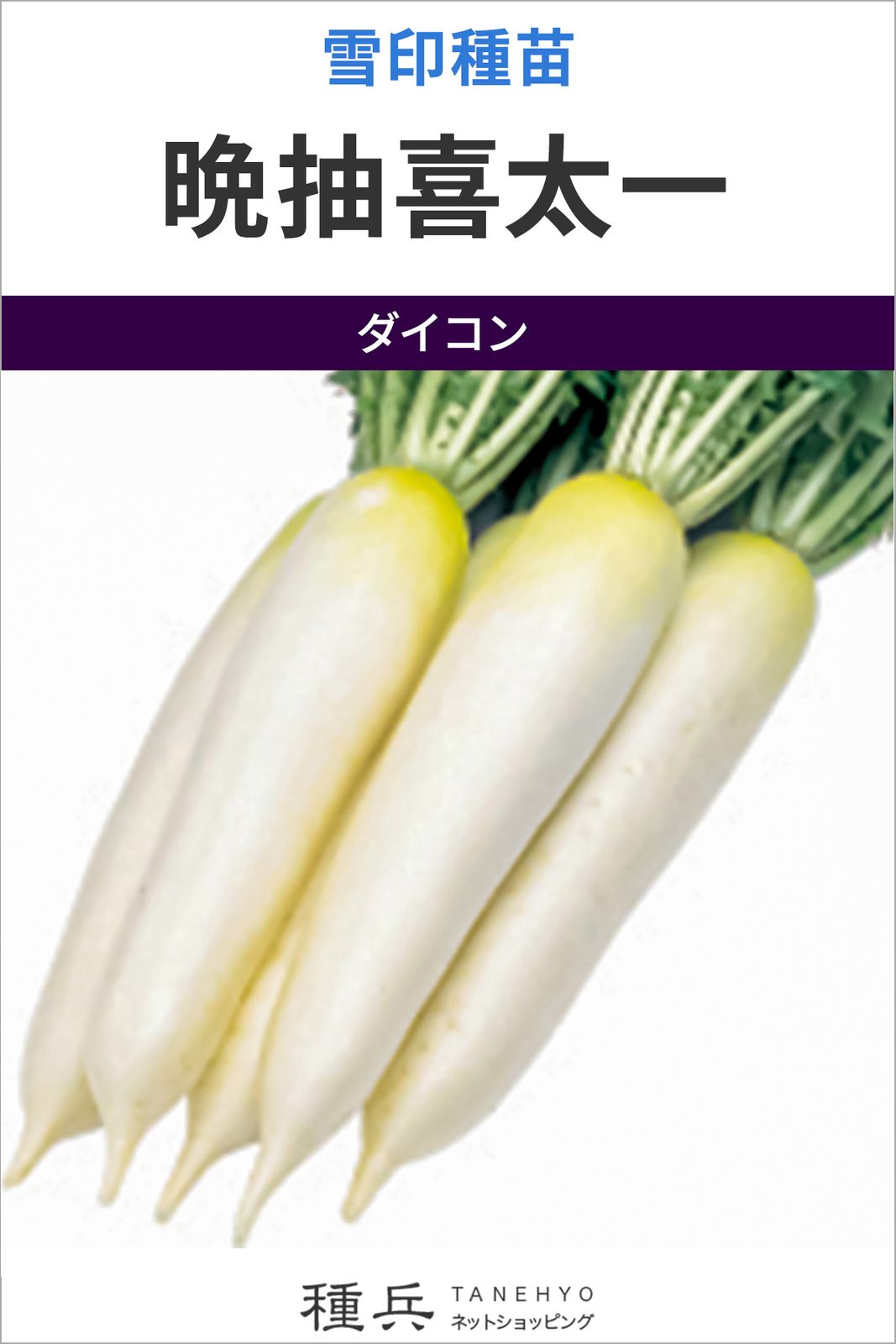 ダイコン 種 『晩抽喜太一』  雪印種苗