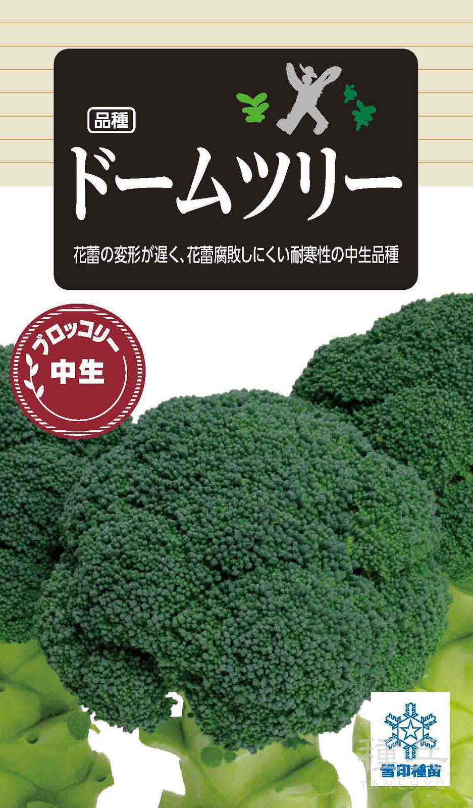 中生ブロッコリー 種 『ドームツリー』  雪印種苗