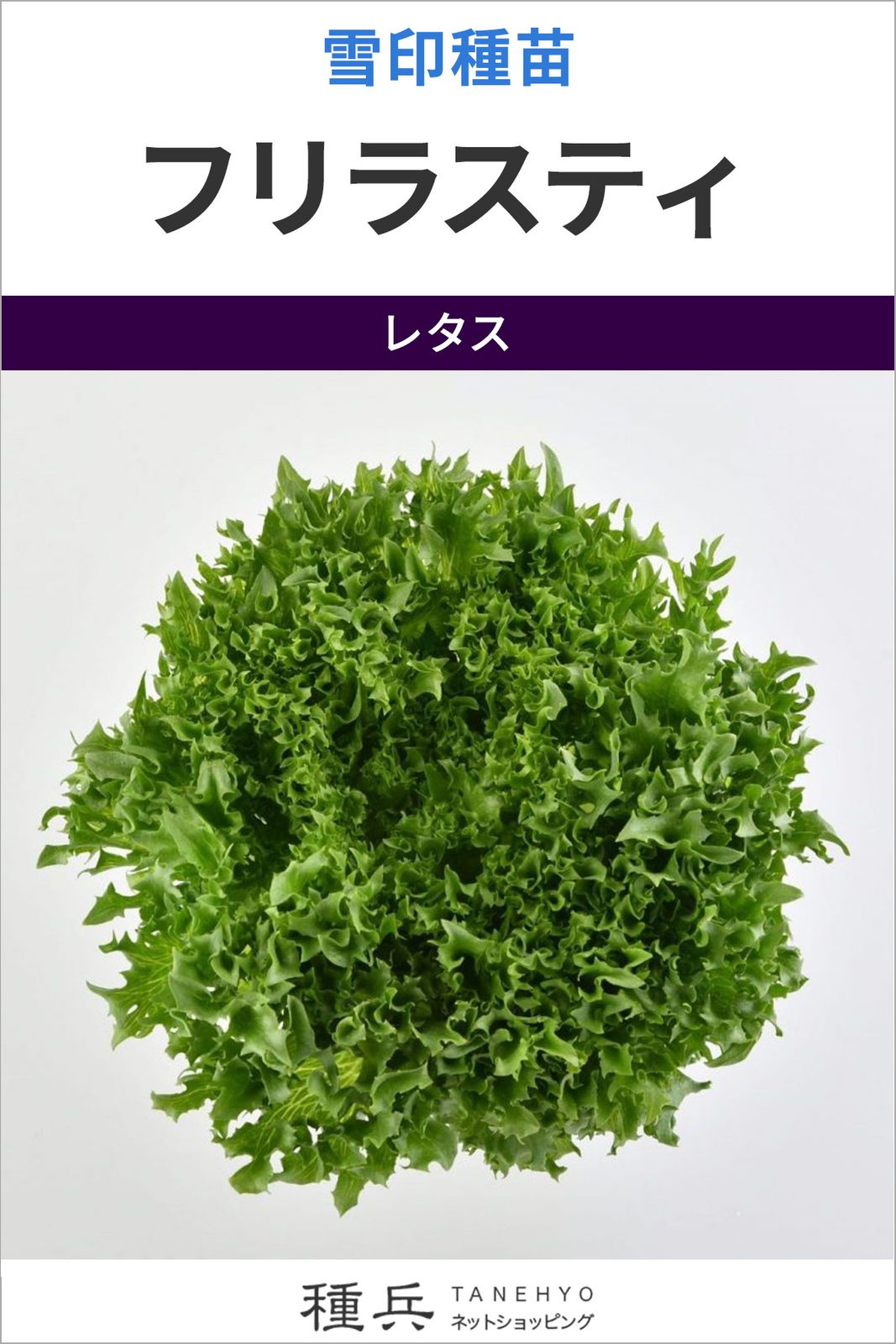 リーフレタス 種 『フリラスティ』  雪印種苗
