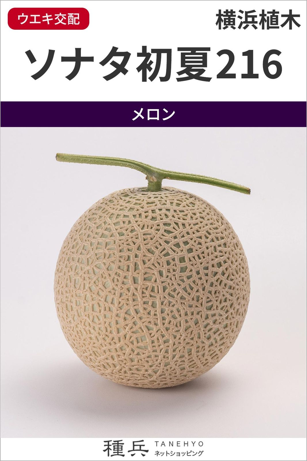 アールス系メロン 種 『ソナタ初夏216』  横浜植木