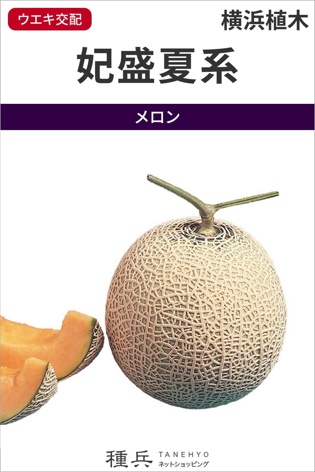アールス系メロン 種 『妃盛夏系』  横浜植木