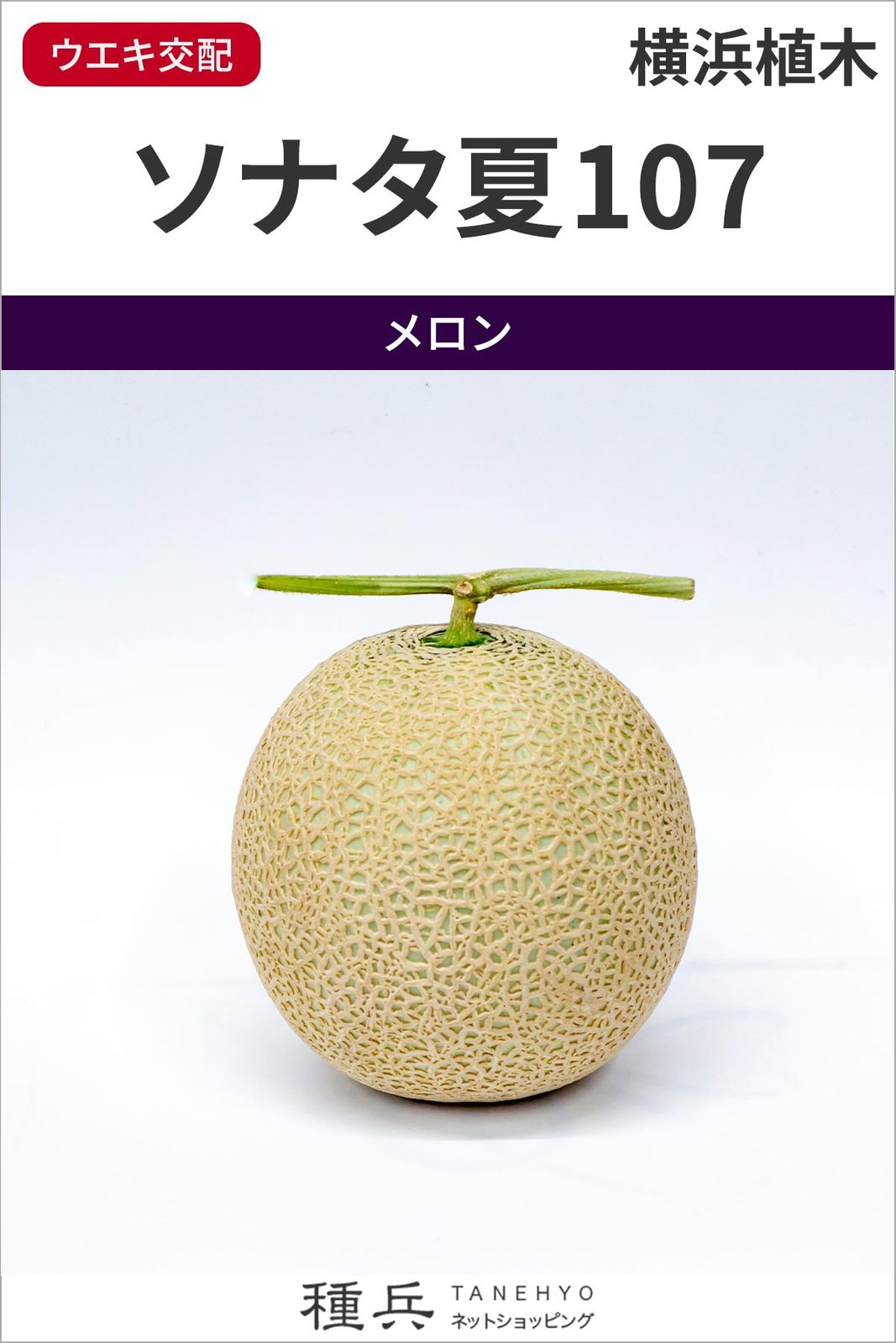 アールス系メロン 種 『ソナタ夏107』  横浜植木