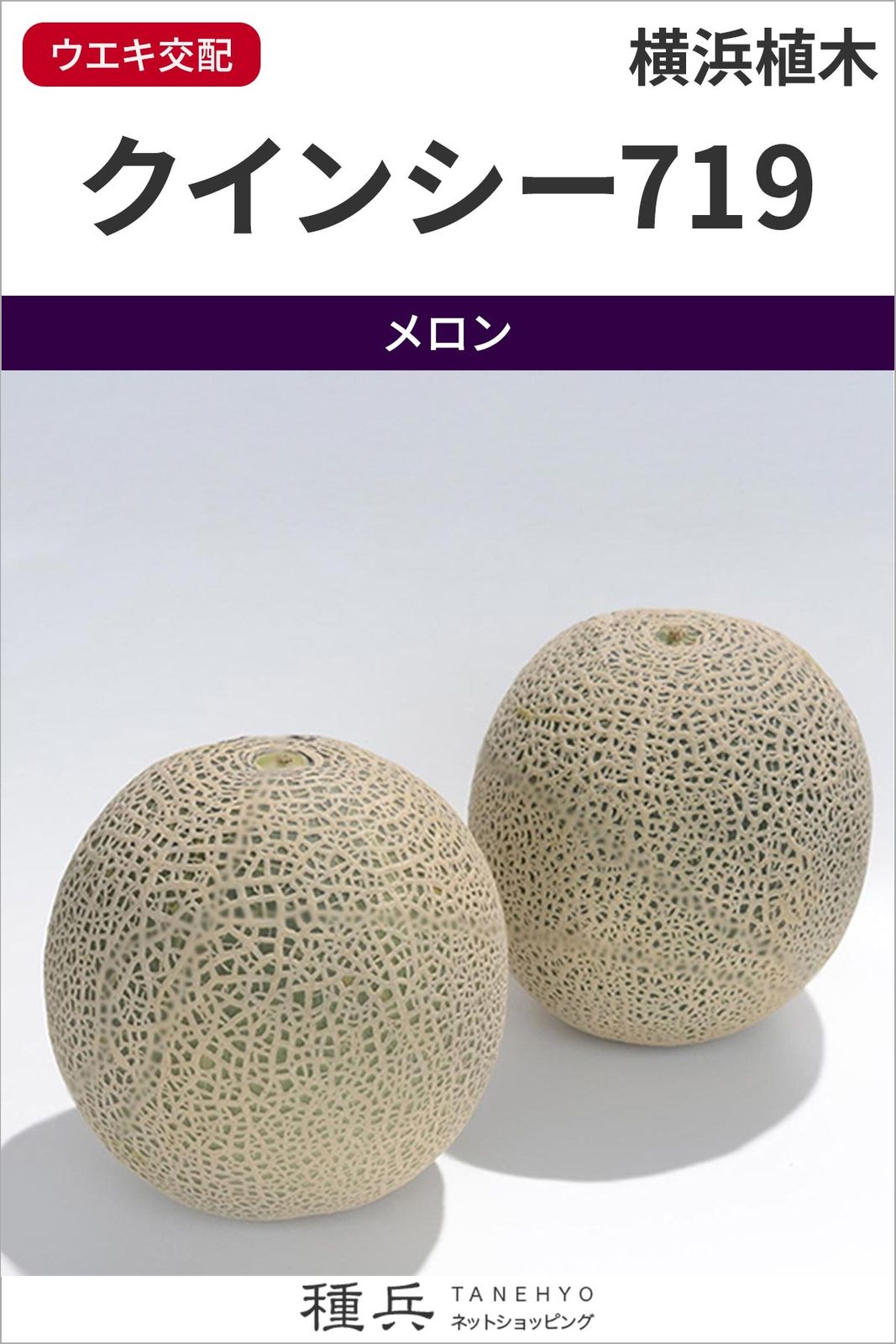 赤肉地這メロン 種 『クインシー７１９』  横浜植木