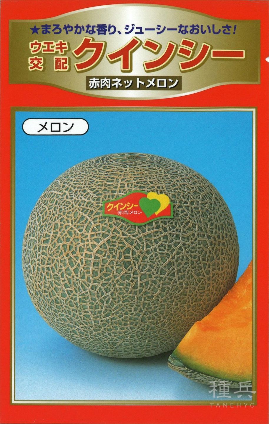 赤肉地這メロン 種 『クインシー』  横浜植木