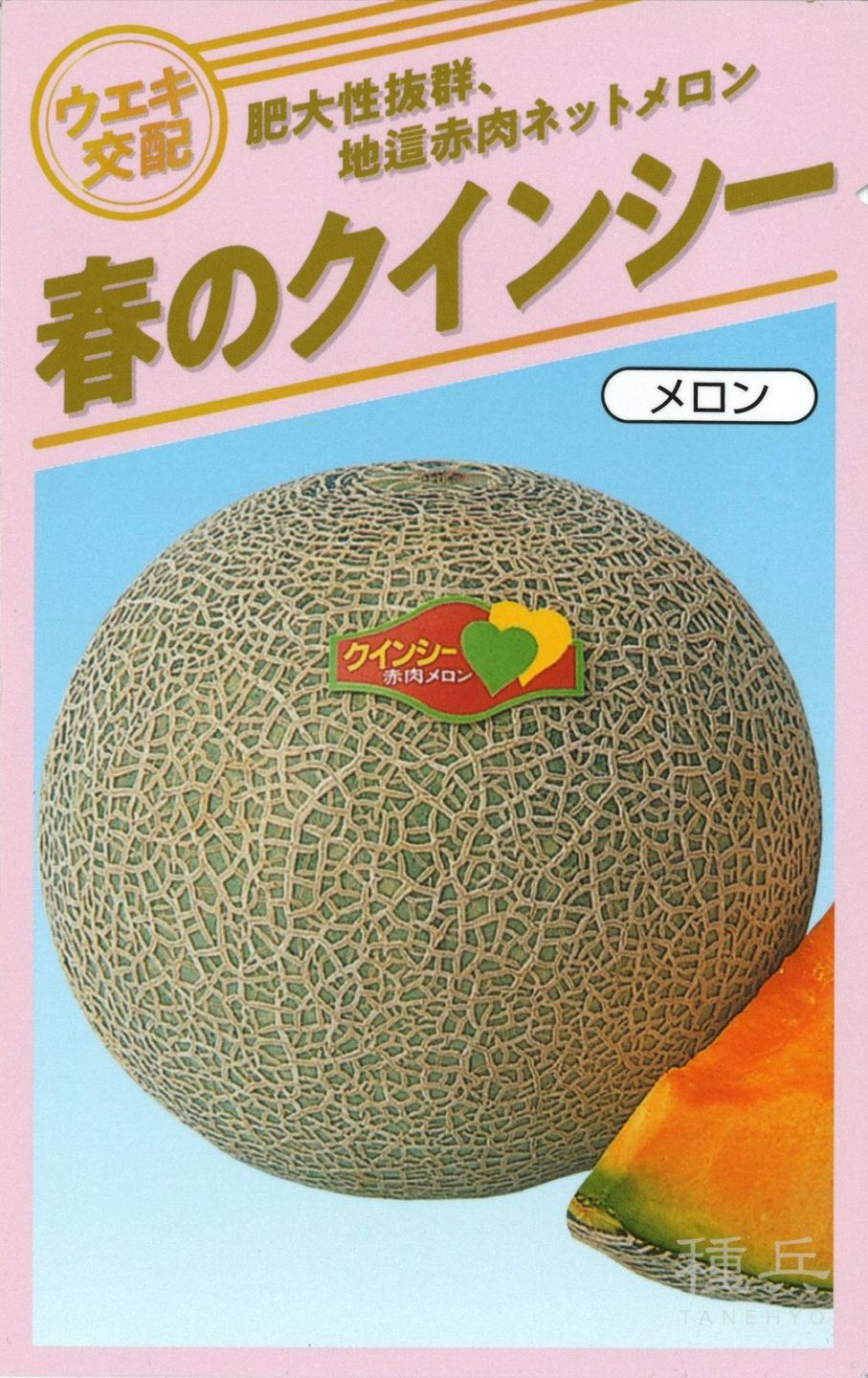 赤肉地這メロン 種 『春のクインシー（ＵＡ－７０５）』  横浜植木