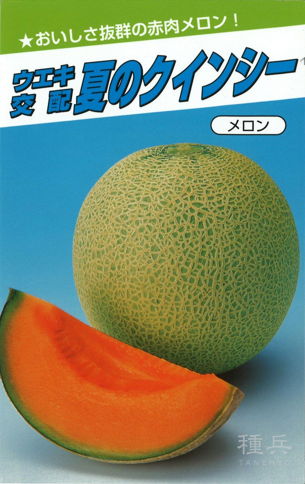 赤肉地這メロン 種 『夏のクインシー』  横浜植木