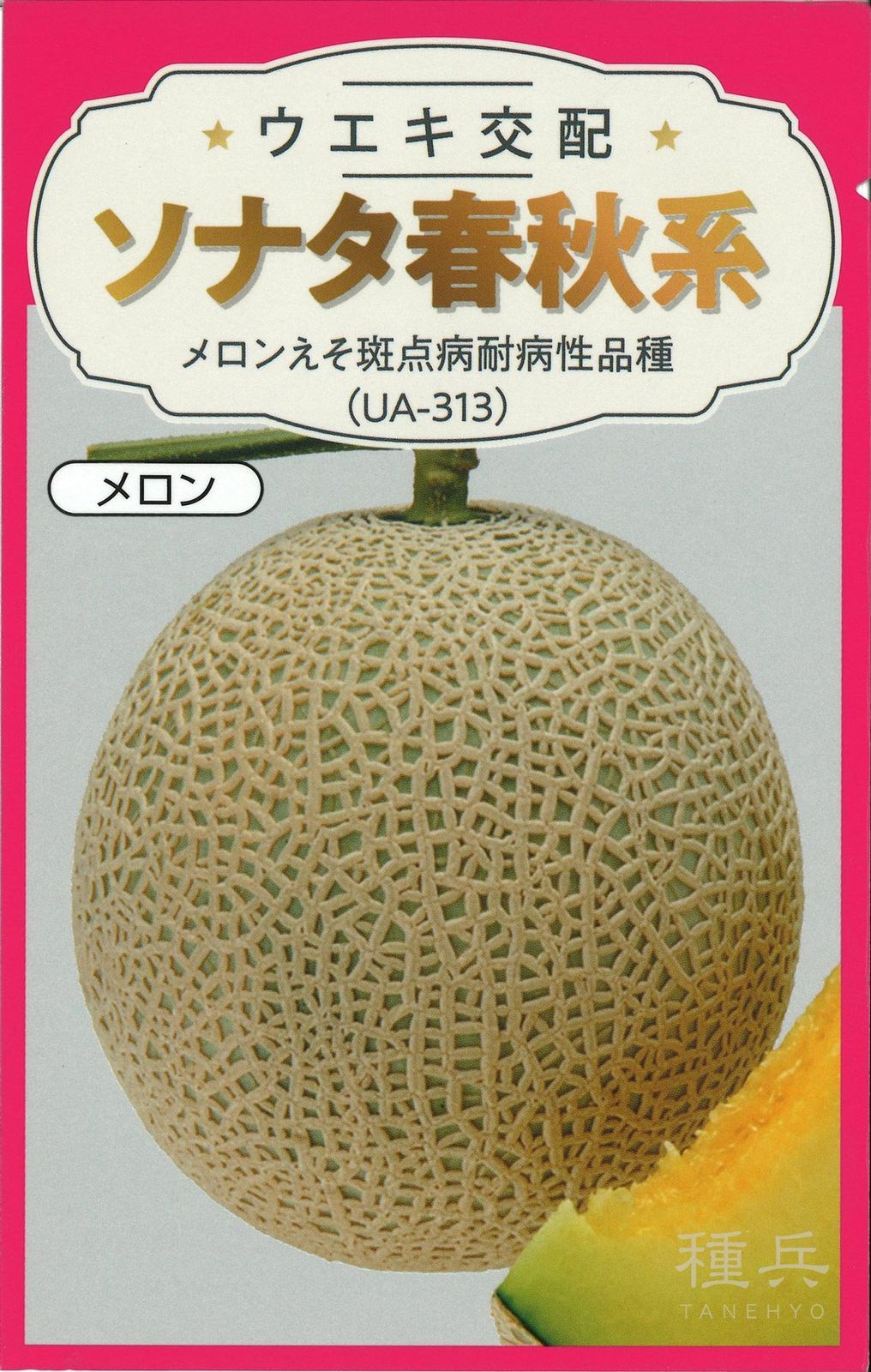 緑肉アールスメロン 種 『ソナタ春秋系（ＵＡ‐３１３）』  横浜植木