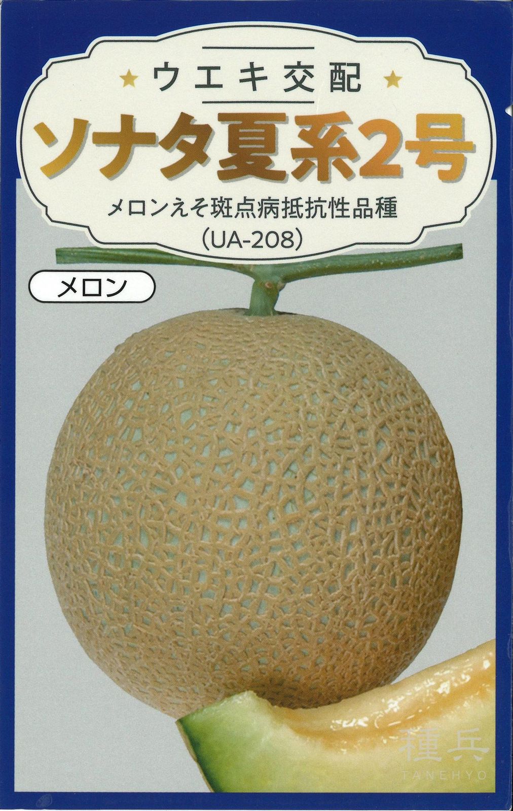 緑肉アールスメロン 種 『ソナタ夏系２号（ＵＡ－２０８）』  横浜植木