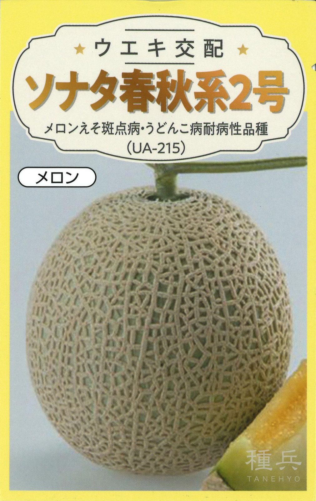 緑肉アールスメロン 種 『ソナタ春秋系２号（UA-215）』  横浜植木
