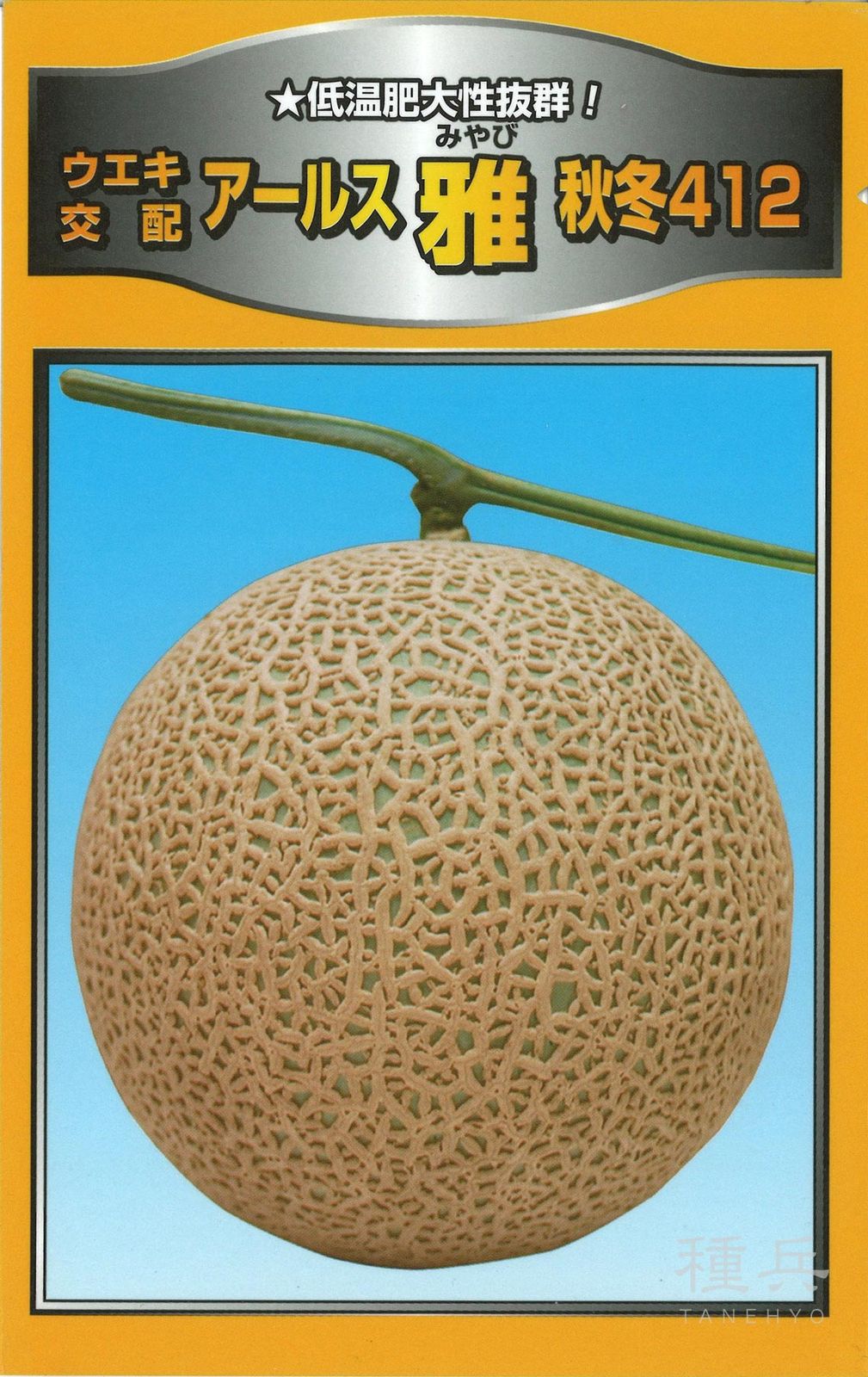 緑肉アールスメロン 種 『雅秋冬４１２（UA－４１２）』  横浜植木