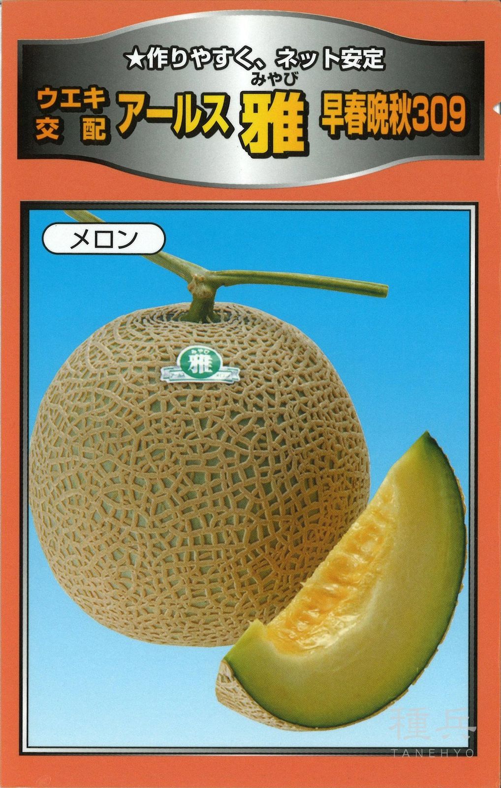 緑肉アールスメロン 種 『雅早春晩秋３０９（ＵＡ－３０９）』  横浜植木