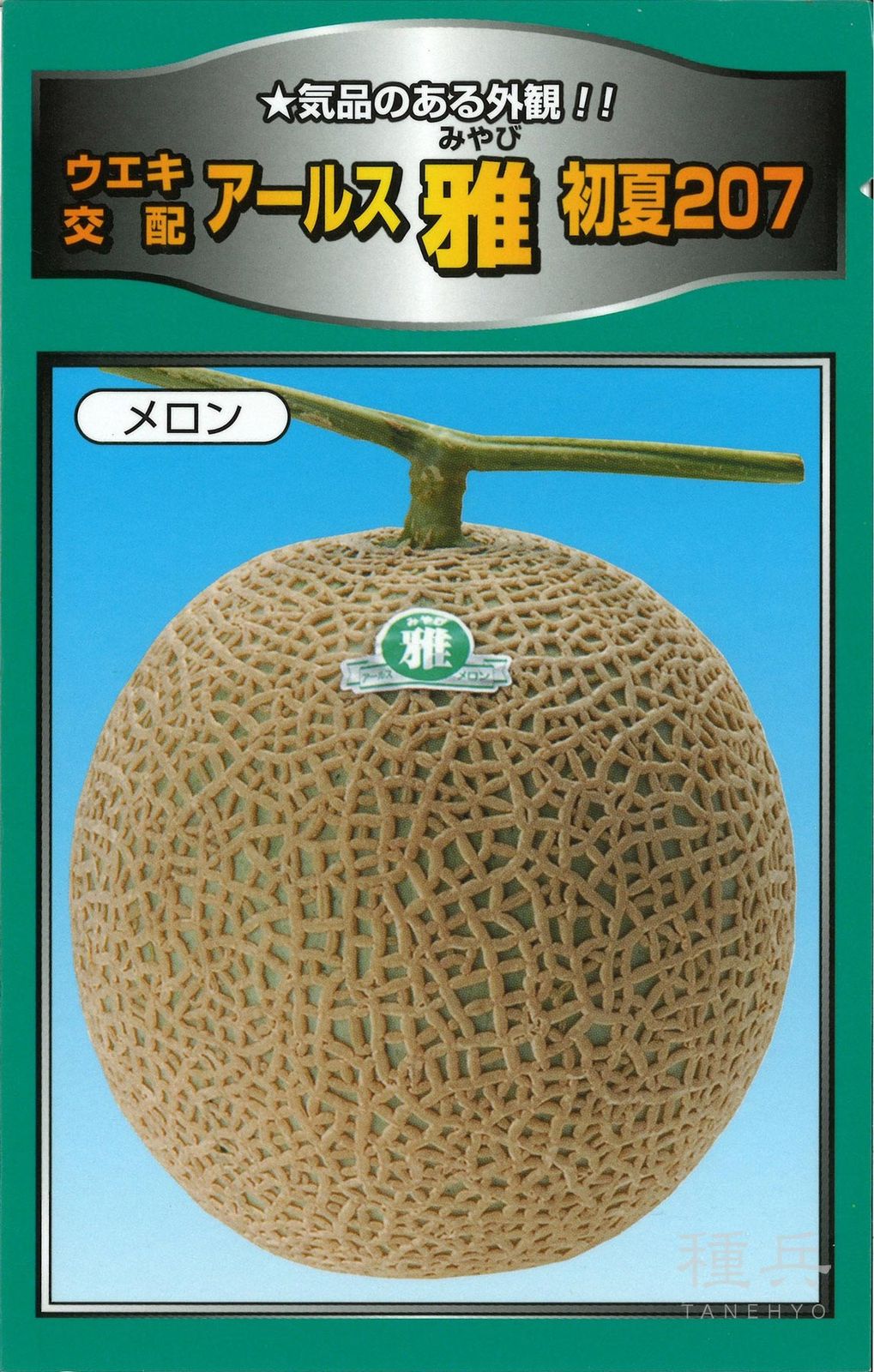 緑肉アールスメロン 種 『雅初夏２０７（ＵＡ－２０７）』  横浜植木