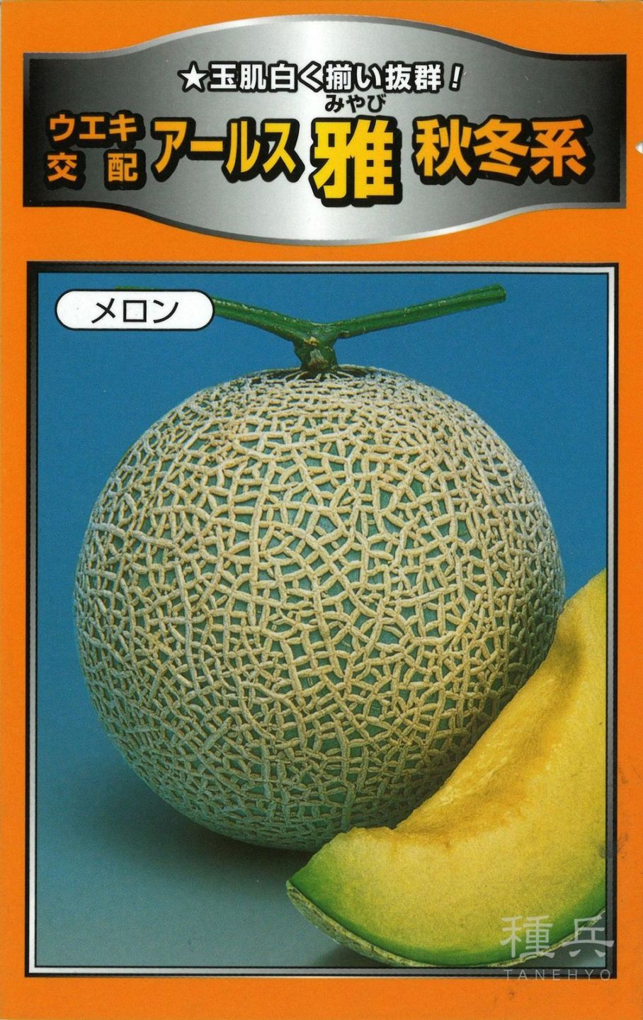 緑肉アールスメロン 種 『雅秋冬系』  横浜植木