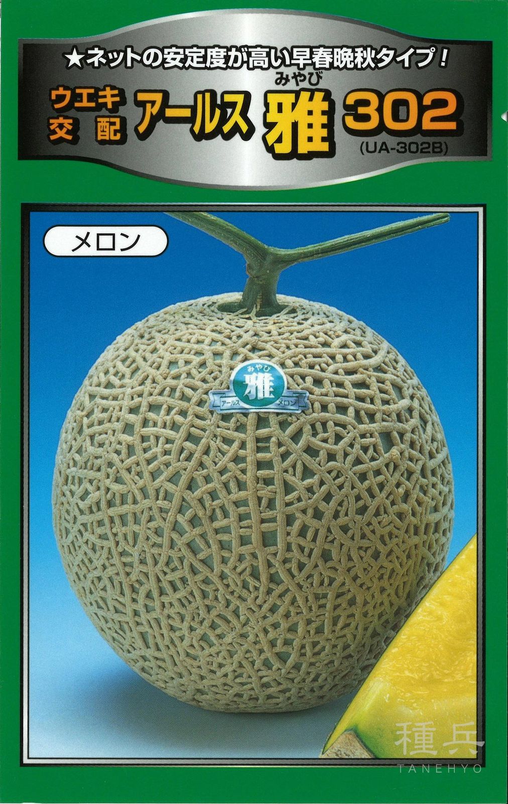 緑肉アールスメロン 種 『雅３０２』  横浜植木