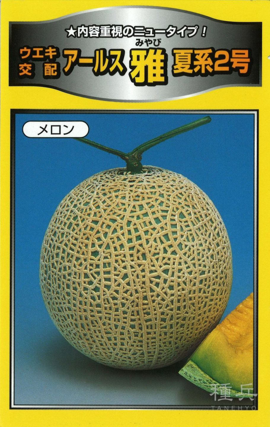 緑肉アールスメロン 種 『雅夏系２号』  横浜植木