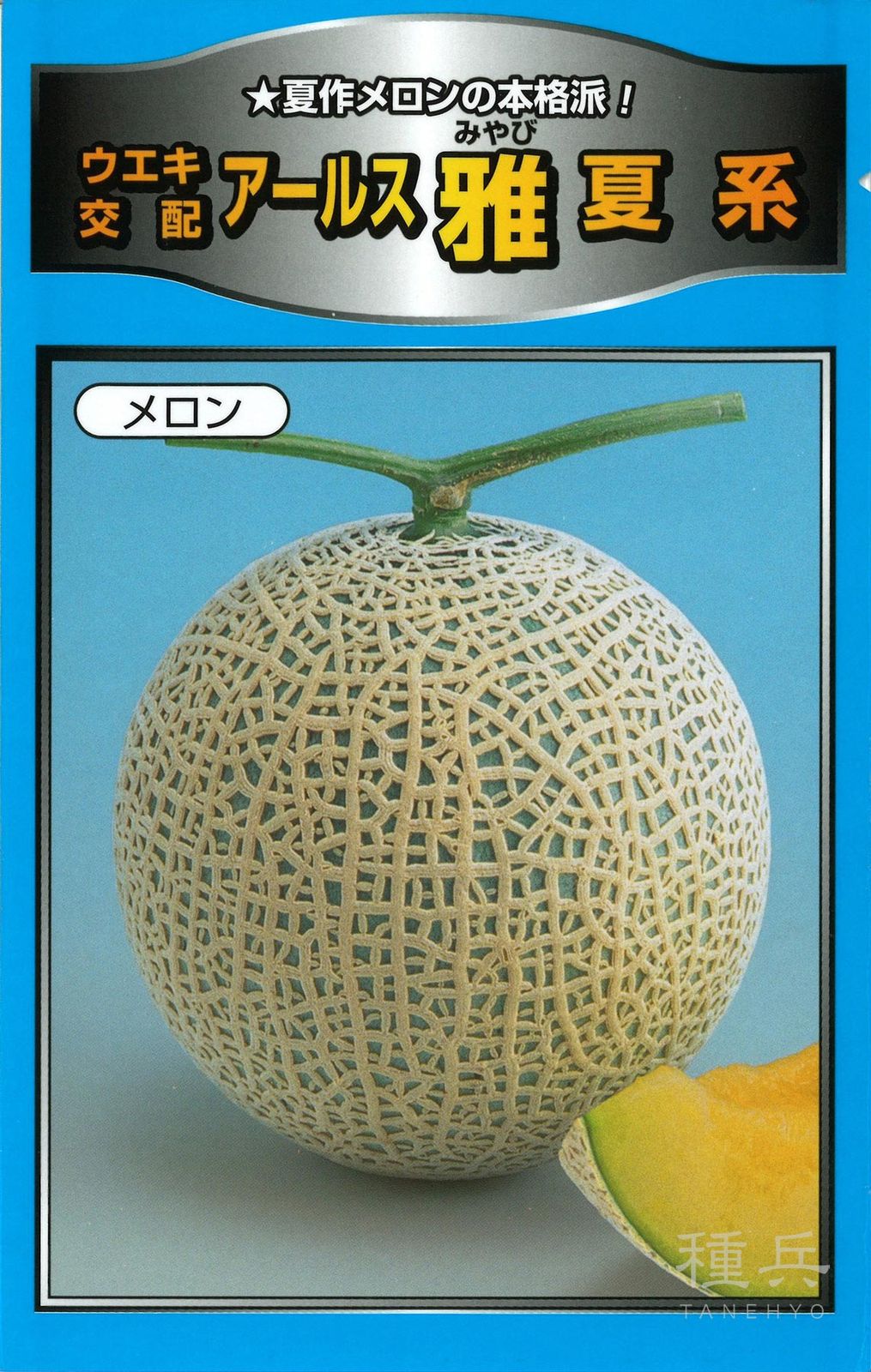 緑肉アールスメロン 種 『雅夏系』  横浜植木