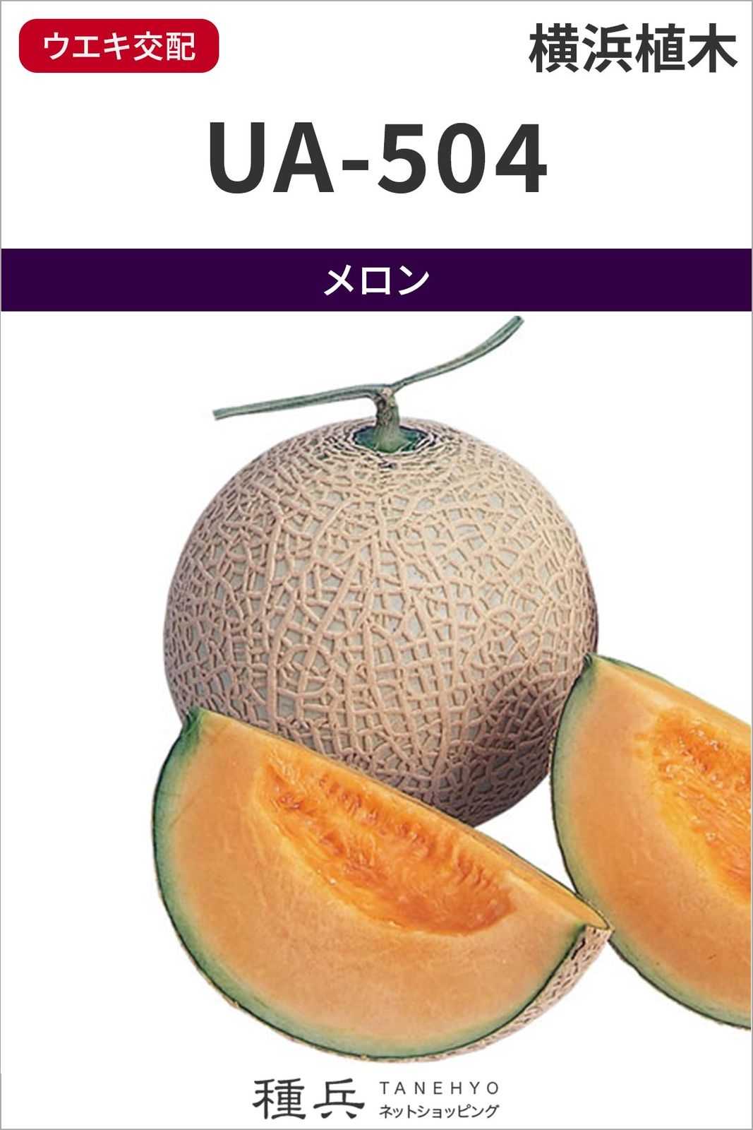 赤肉アールスメロン 種 『UA-504（冬タイプ）』  横浜植木