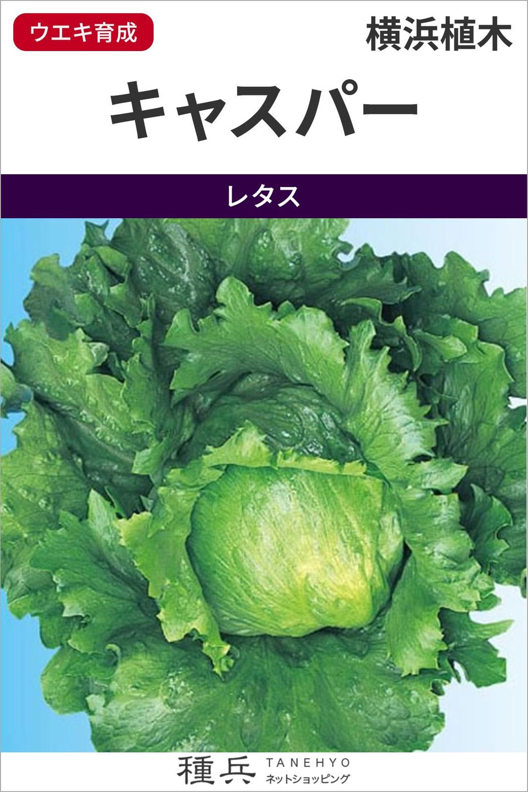 玉レタス 種 『キャスパー』  横浜植木