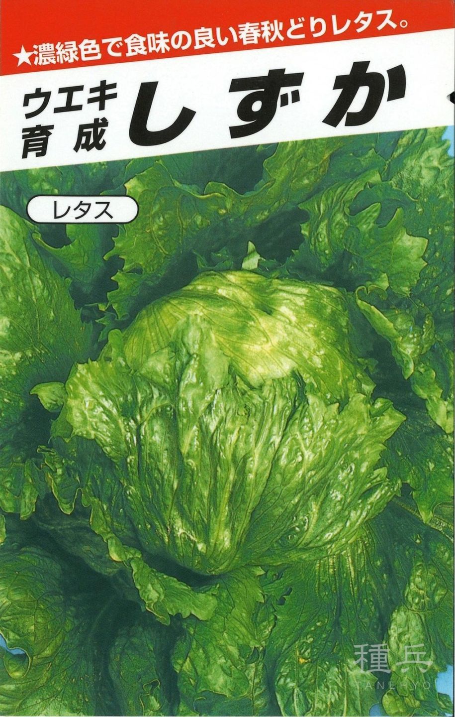 玉レタス 種 『しずか』  横浜植木