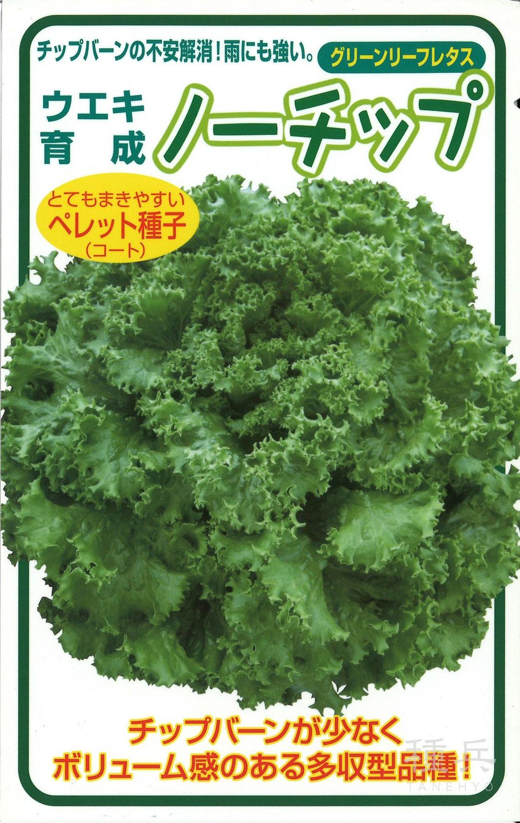 グリーンリーフレタス 種 『ノーチップ』  横浜植木