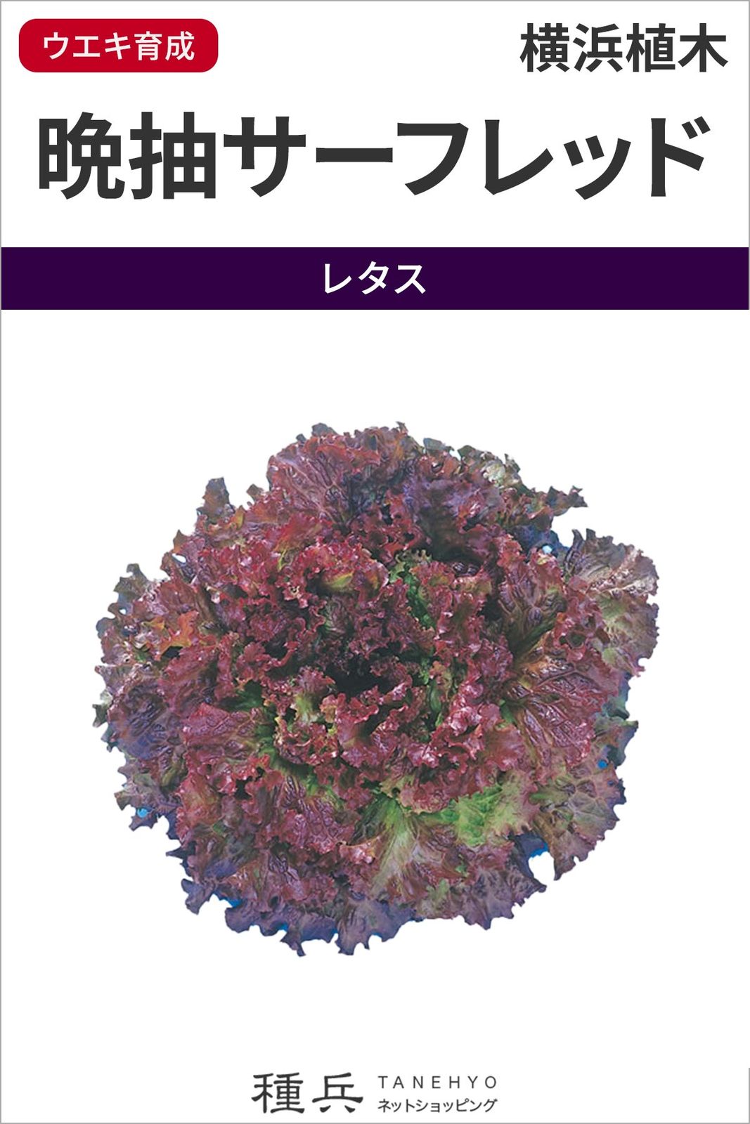 レッドリーフレタス 種 『晩抽サーフレッド』  横浜植木