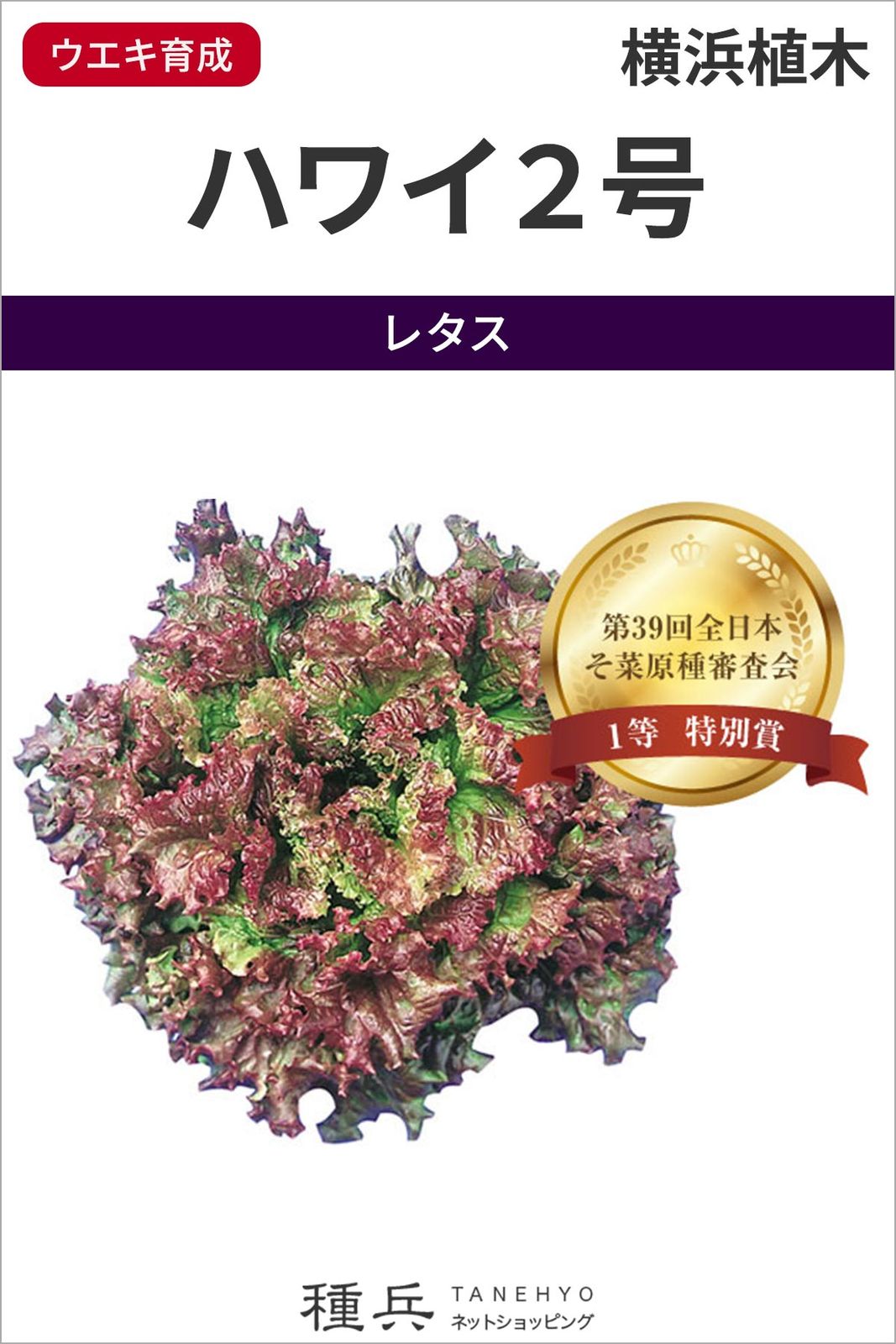レッドリーフレタス 種 『ハワイ２号』  横浜植木